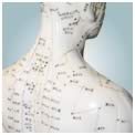 The Acupuncture points